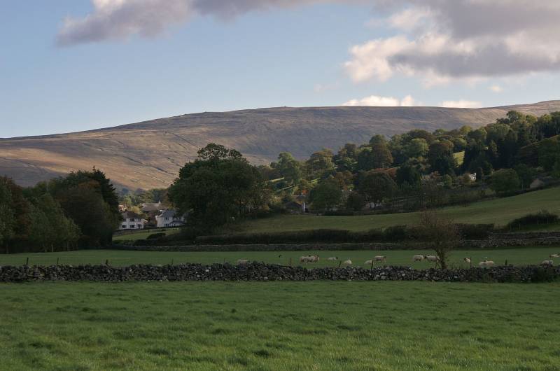 Under Combe Scar. 